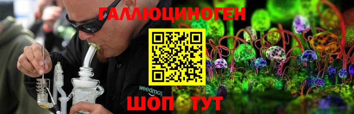 Псилоцибиновые грибы Psilocybine cubensis Красноармейск